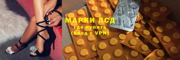 стаф Краснослободск
