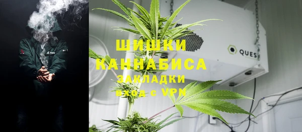 стаф Краснослободск