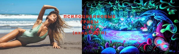 амф Краснотурьинск