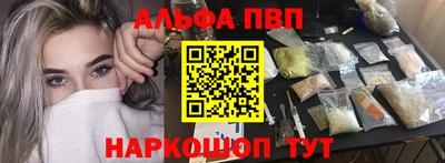 стаф Новокубанск