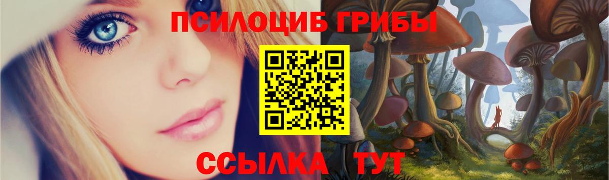 Псилоцибиновые грибы мицелий  Вход с VPN  Орск 